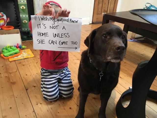 Photo of young toddler seated next to labrador dog.