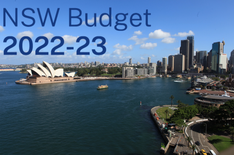NSW Budget 2022 - 2023 Response
