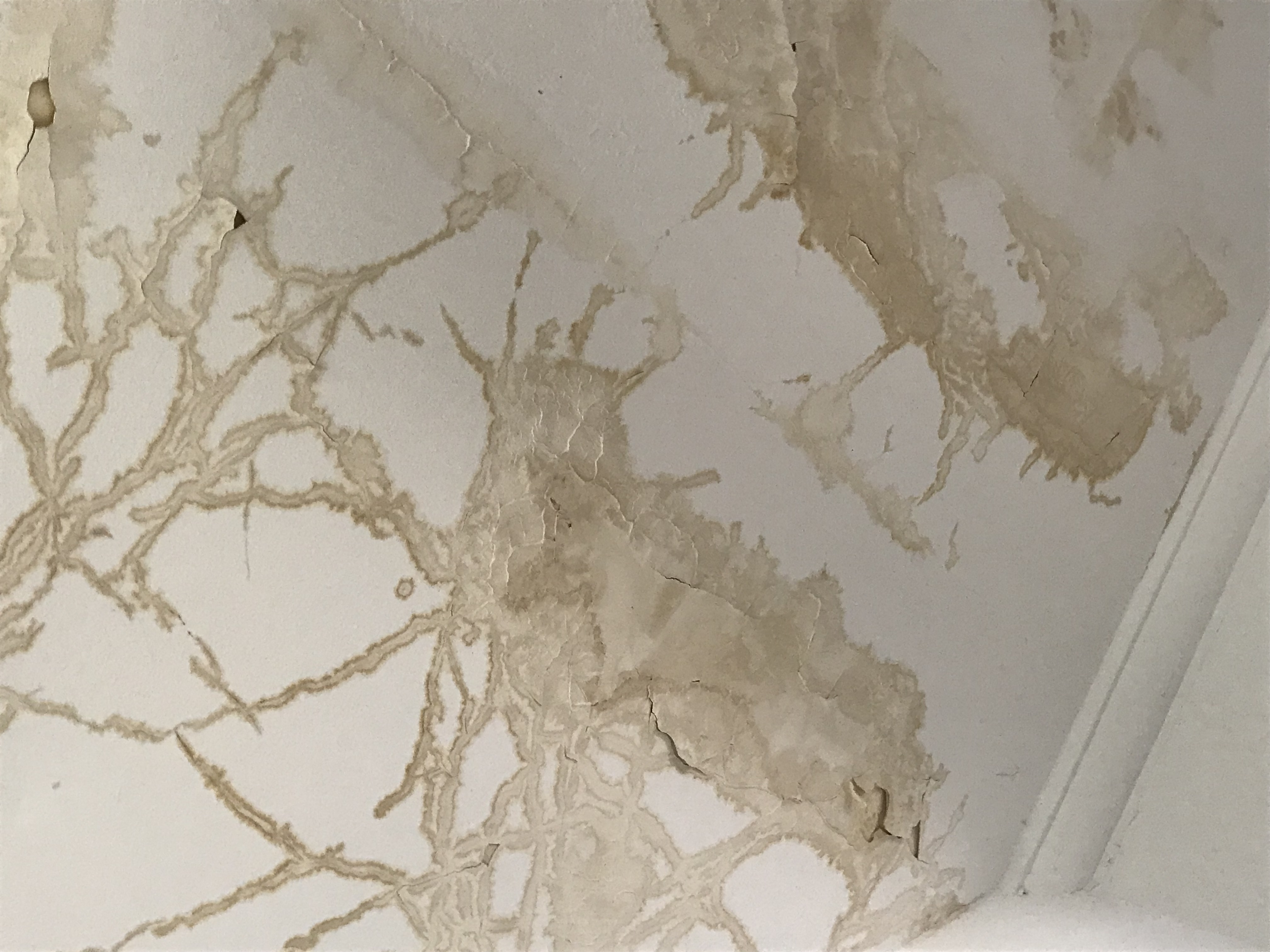 Water damage to Peter's ceiling